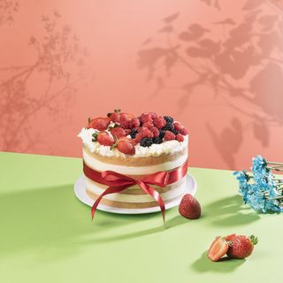 კენკრის ტორტი (15 ნაჭერი)