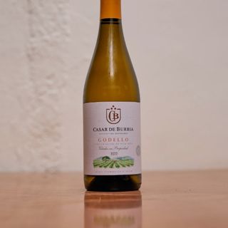 Casar Godello 2022 Blanco