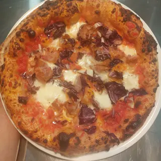 Trevigiana 