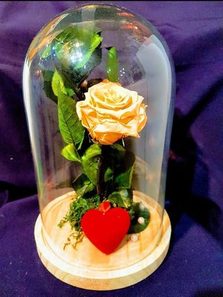 Cúpulas Rosa Eterna Liofilizada Roja 30 Cm.