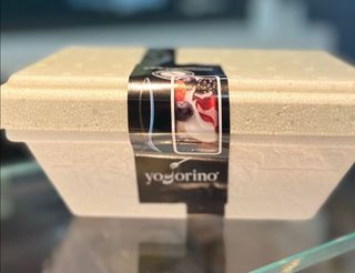 Vaschetta frozen yogurt 350 g