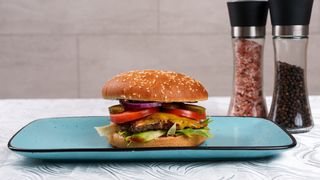 Clasic burger