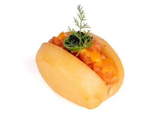 229. Salmon evolution - 2 pezzi