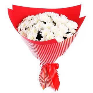 Bukiet margaretek , rozmiar średni