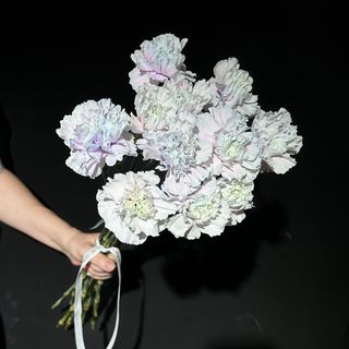 Ramo de 11 Claveles Blanco 