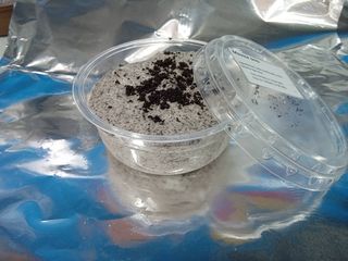 Mousse de Oreo