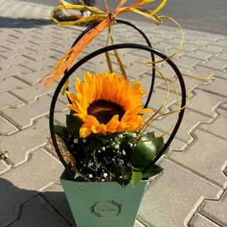 Кошница с 1 слънчоглед 