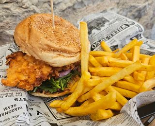 Chicken burger 250 gr