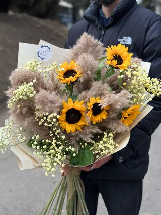 მზესუმზირა,გიფსოფილა,პამპასი