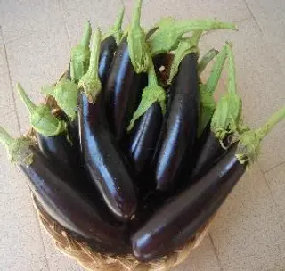 Melanzane