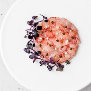 Carpaccio di gambero rosso  