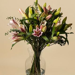 Ramo de liliums premium con eucalipto variado