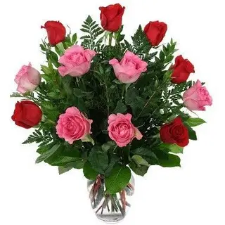 12 rosas rojas y rosadas