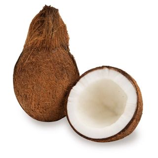 Coconut