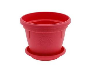 Саксия, червена, Ф20