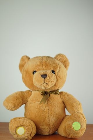 TEDDY BEAR 