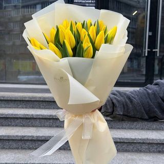 25 жовтих тюльпанів