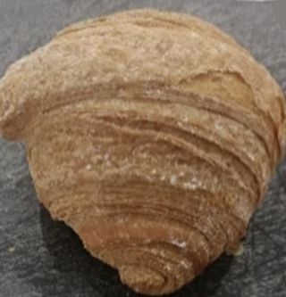 Cornetto piccolo vuoto vegano