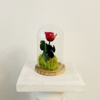 Cúpula de la Bella y la Bestia "Rosa Eterna Roja" 