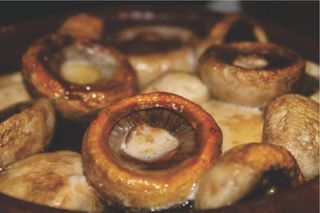 სოკო კეცზე