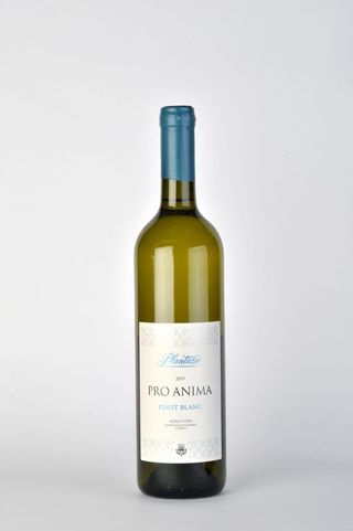 Pro Anima Pinot Blanc