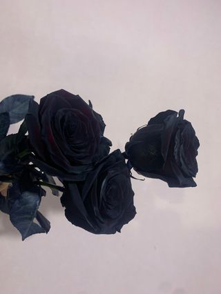 შავი ჰოლანდიური ვარდი 3 ტოტი 