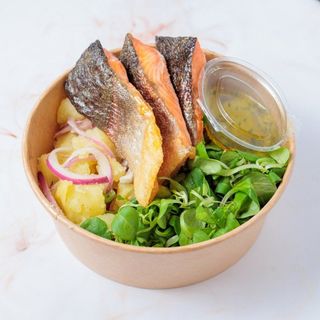 Losos Pastrmka Box 450g