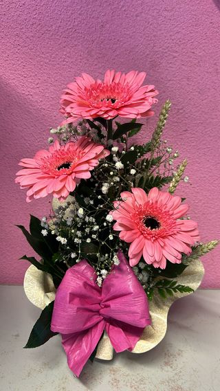 Gérberas Delicadas Cor-de-Rosa