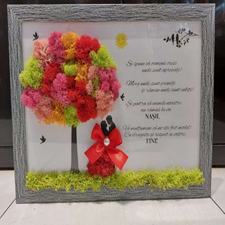 Tablou cu licheni Nasi și Fini - 20x30