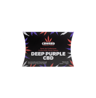 Deep Purple Auto CBD - 1 semente