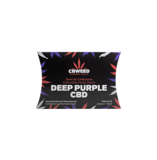 Deep Purple Auto CBD - 1 semente