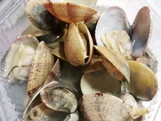 Amêijoa ao Natural