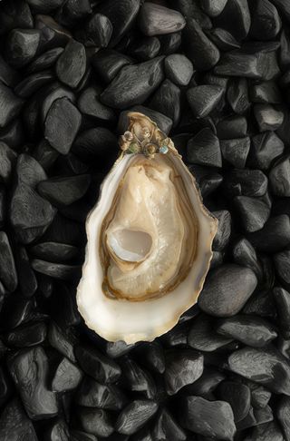 Ostras Speciale Normandia N3 (12 Uds.)