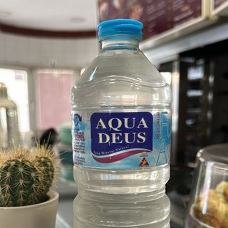 Agua (330 Ml.)