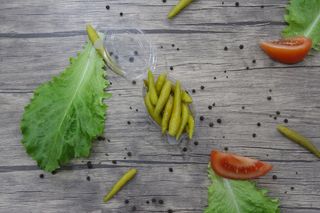 შურმის მწარე  წიწაკა