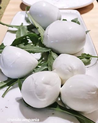 Mozzarella di bufala D.O.P