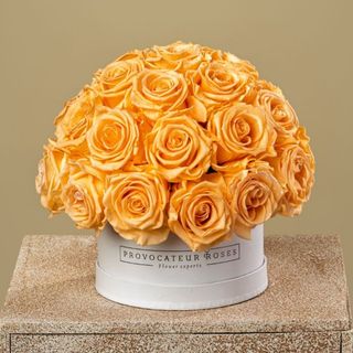 salmon-colored luxury dial