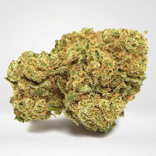 Amnesia - Greenhouse 10G - colheita 2023