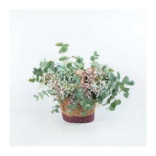 Capazo De Verdes Y Paniculata "M"