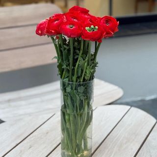 Ramo De Ranunculos Rojos