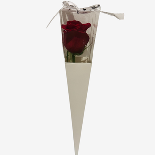 Rosa Individual 