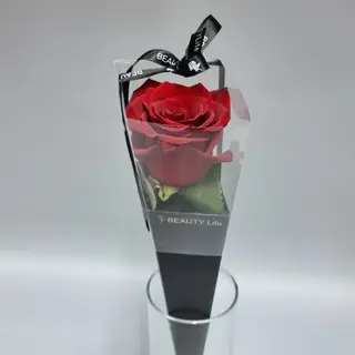 Trandafir rosu elegance