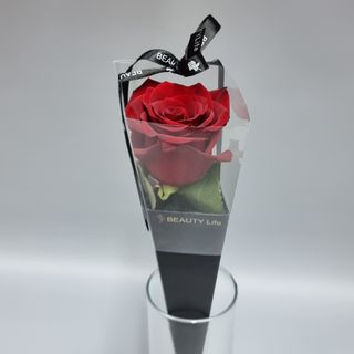 Trandafir rosu elegance