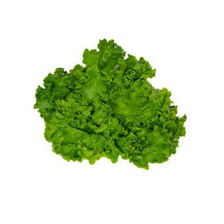 Salata verde