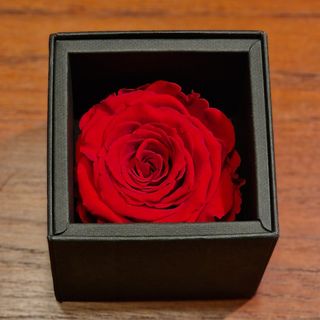 Rosa singola in cofanetto