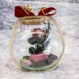 rosa eterna cristal roja