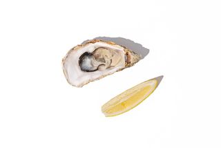 Ostryga fine de claire nr 3