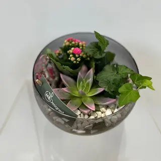 Микс растения в стъклена купи 