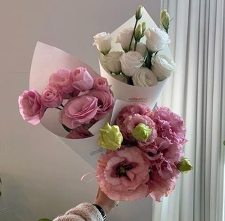 ეუსტომა (მიუთითეთ სასურველი ფერი)