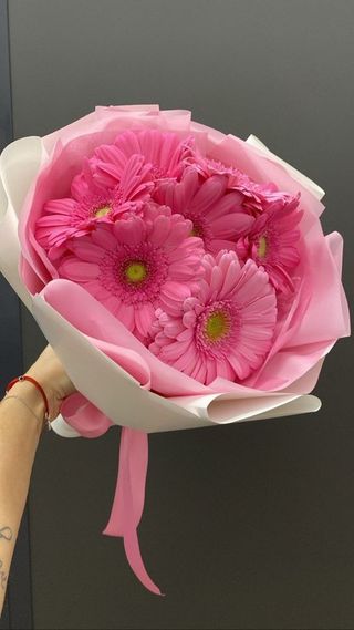 Гербери 7 шт